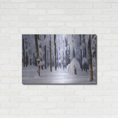Luxe Metal Art 'White Muslin' by Philippe Sainte-Laudy, Metal Wall Art,36x24