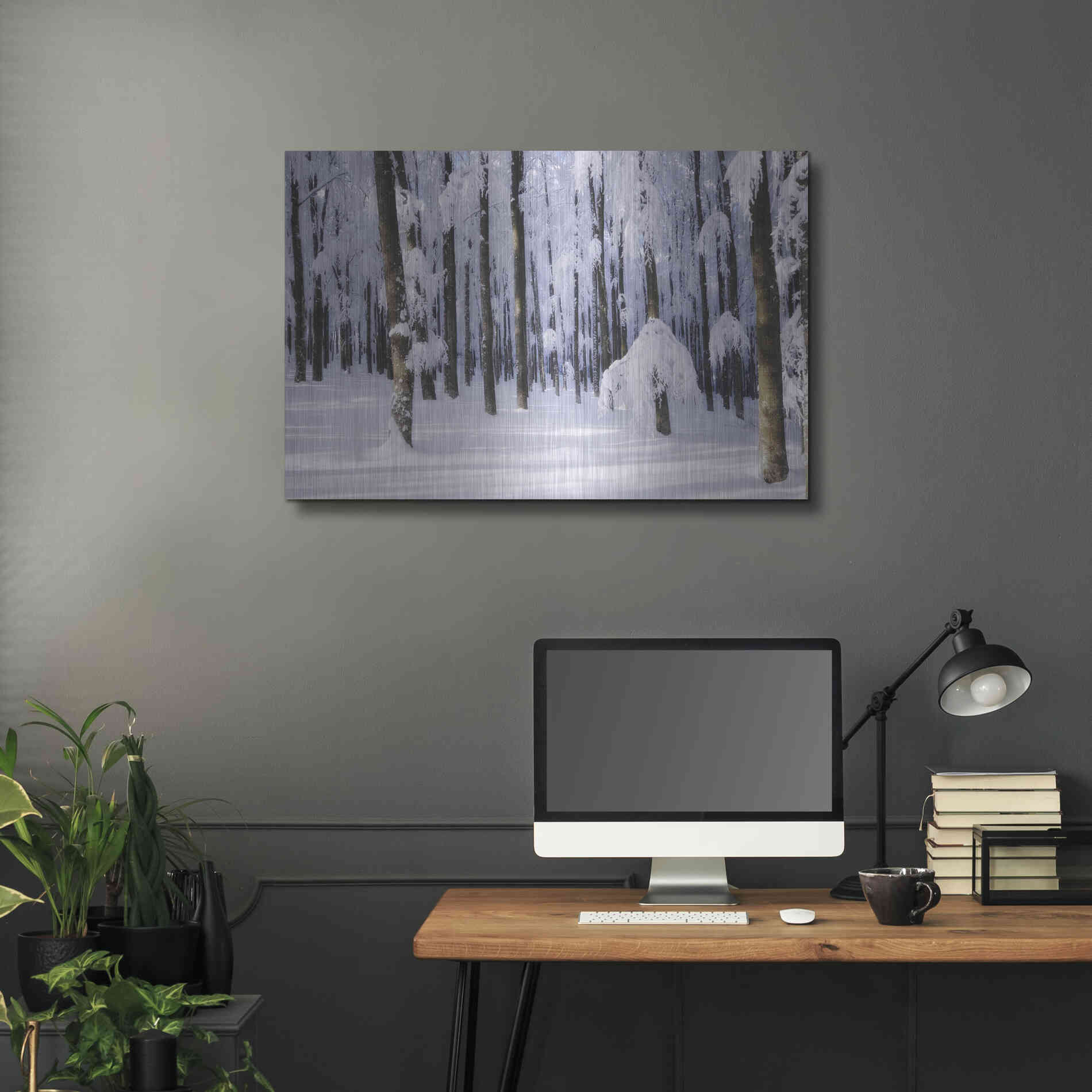 Luxe Metal Art 'White Muslin' by Philippe Sainte-Laudy, Metal Wall Art,36x24