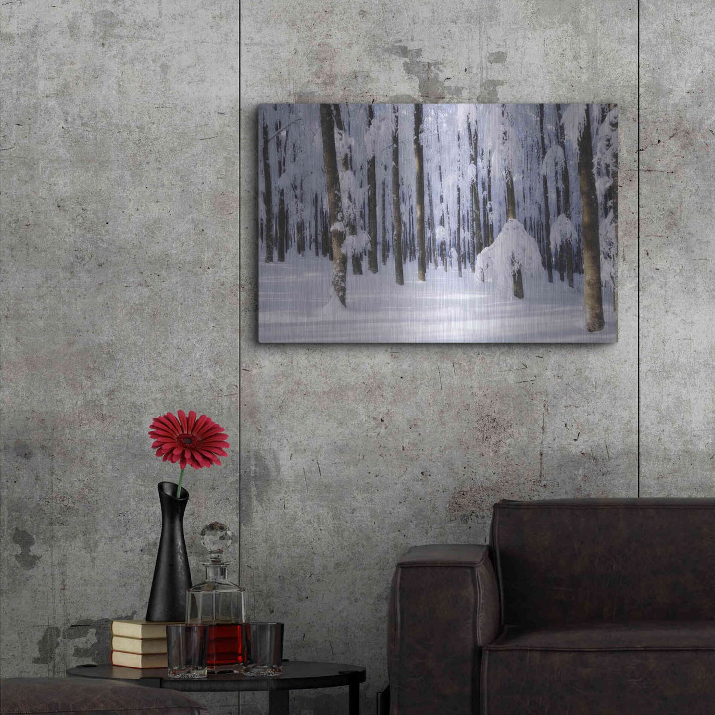 Luxe Metal Art 'White Muslin' by Philippe Sainte-Laudy, Metal Wall Art,36x24