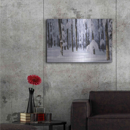 Luxe Metal Art 'White Muslin' by Philippe Sainte-Laudy, Metal Wall Art,36x24