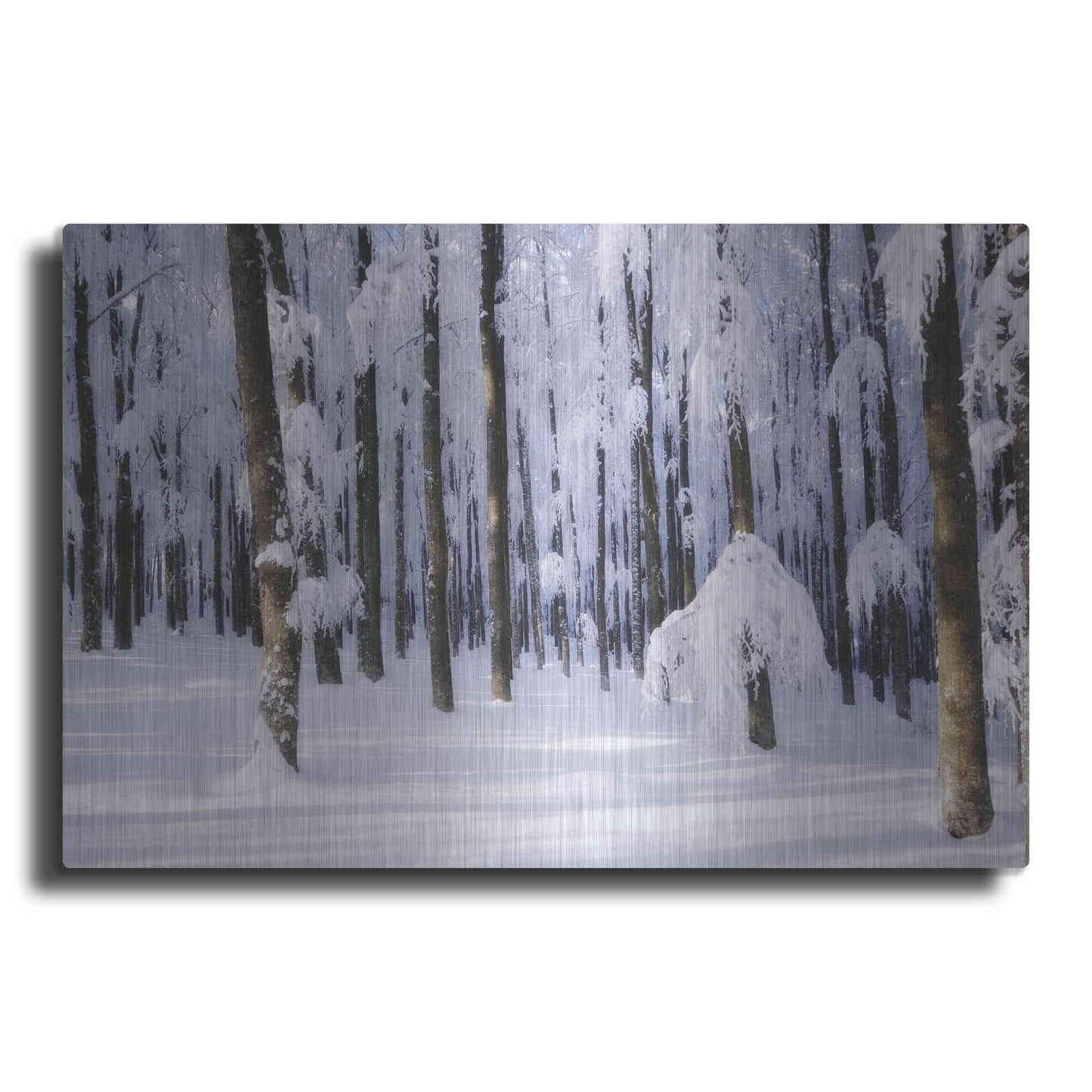 Luxe Metal Art 'White Muslin' by Philippe Sainte-Laudy, Metal Wall Art