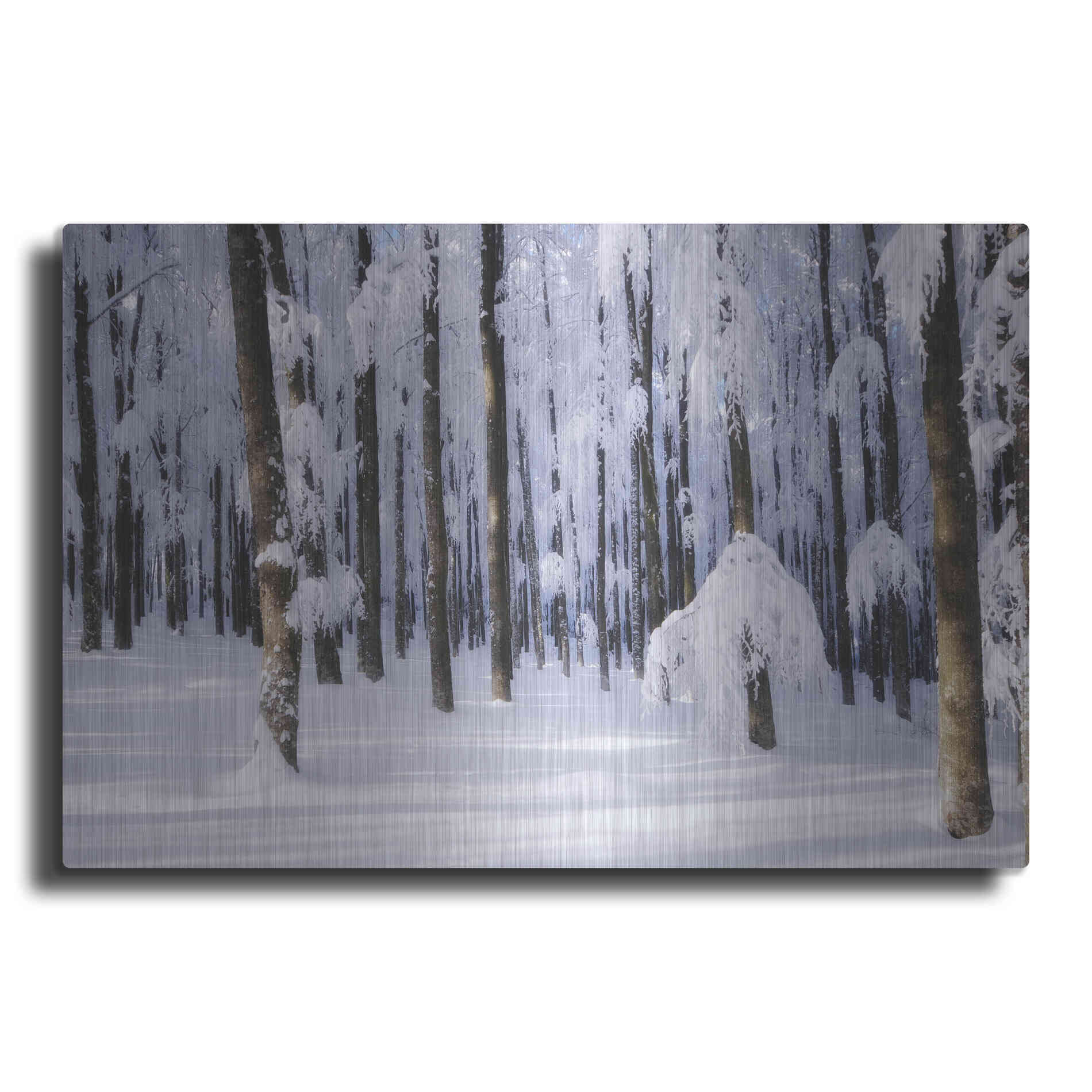 Luxe Metal Art 'White Muslin' by Philippe Sainte-Laudy, Metal Wall Art
