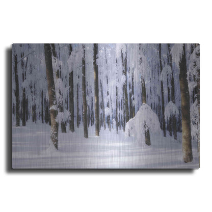 Luxe Metal Art 'White Muslin' by Philippe Sainte-Laudy, Metal Wall Art