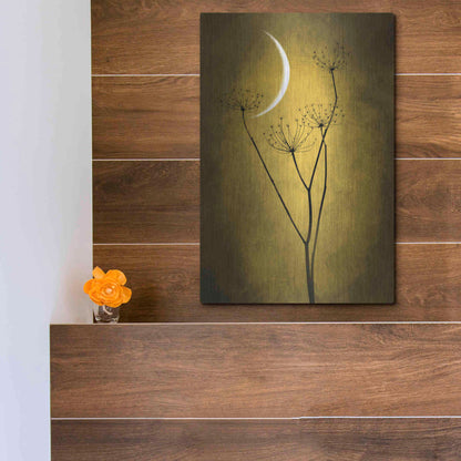 Luxe Metal Art 'Yellow Crescent Moon' by Philippe Sainte-Laudy, Metal Wall Art,12x16