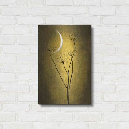 Luxe Metal Art 'Yellow Crescent Moon' by Philippe Sainte-Laudy, Metal Wall Art,16x24