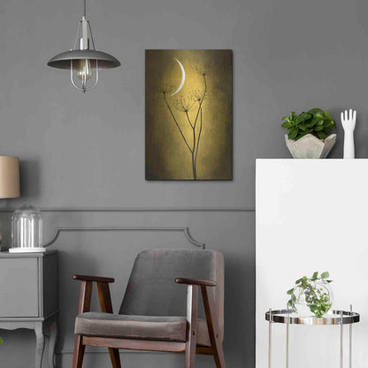 Luxe Metal Art 'Yellow Crescent Moon' by Philippe Sainte-Laudy, Metal Wall Art,16x24