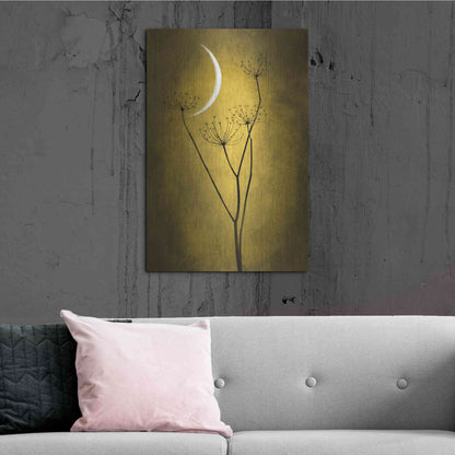 Luxe Metal Art 'Yellow Crescent Moon' by Philippe Sainte-Laudy, Metal Wall Art,24x36