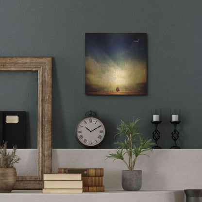 Luxe Metal Art 'Echo Of A Sigh' by Philippe Sainte-Laudy, Metal Wall Art,12x12