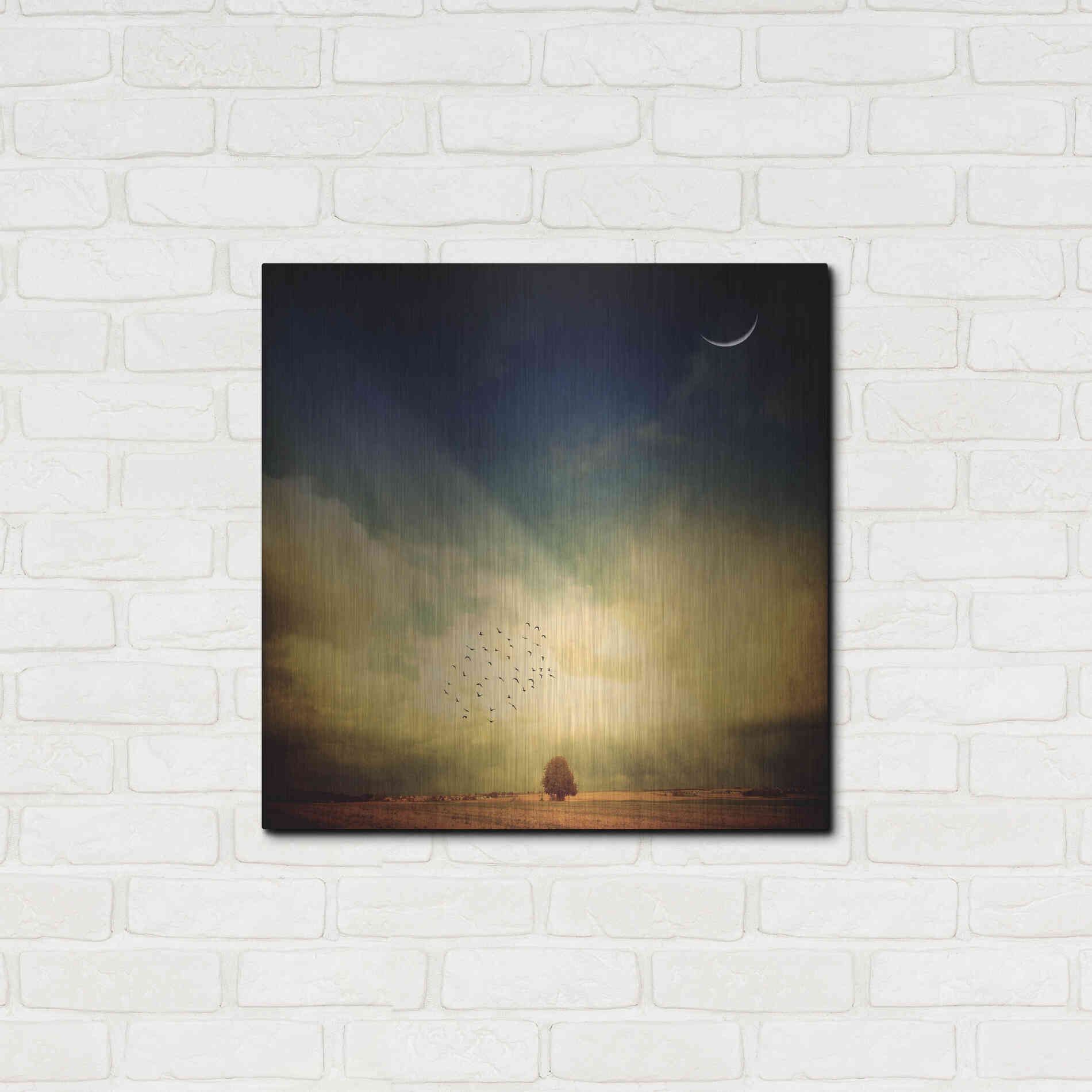 Luxe Metal Art 'Echo Of A Sigh' by Philippe Sainte-Laudy, Metal Wall Art,24x24