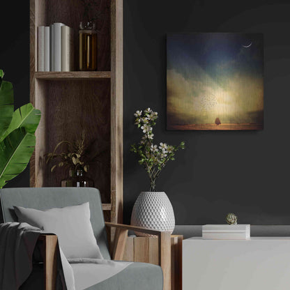 Luxe Metal Art 'Echo Of A Sigh' by Philippe Sainte-Laudy, Metal Wall Art,24x24