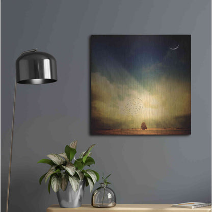 Luxe Metal Art 'Echo Of A Sigh' by Philippe Sainte-Laudy, Metal Wall Art,24x24