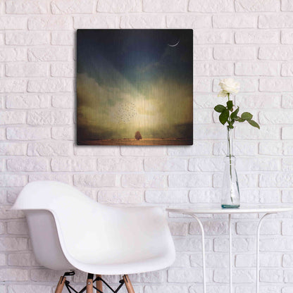 Luxe Metal Art 'Echo Of A Sigh' by Philippe Sainte-Laudy, Metal Wall Art,24x24