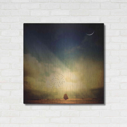 Luxe Metal Art 'Echo Of A Sigh' by Philippe Sainte-Laudy, Metal Wall Art,36x36