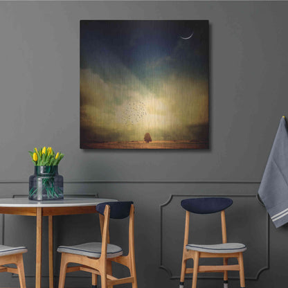 Luxe Metal Art 'Echo Of A Sigh' by Philippe Sainte-Laudy, Metal Wall Art,36x36