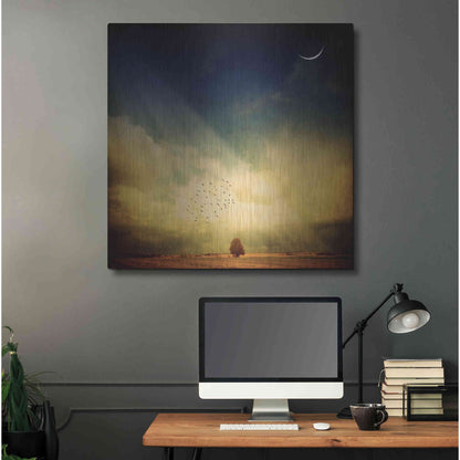 Luxe Metal Art 'Echo Of A Sigh' by Philippe Sainte-Laudy, Metal Wall Art,36x36