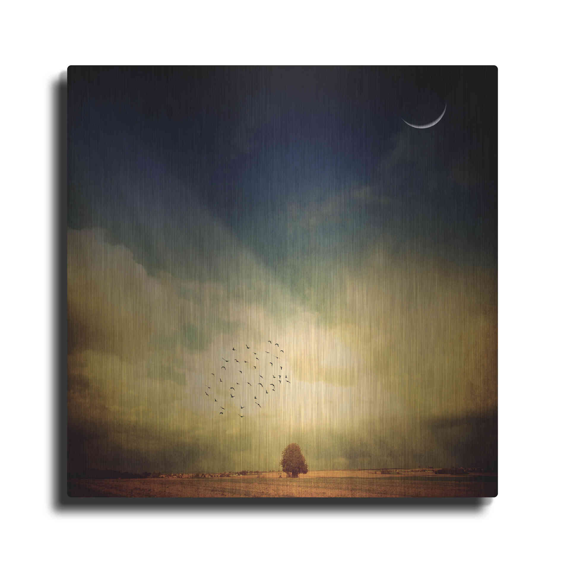 Luxe Metal Art 'Echo Of A Sigh' by Philippe Sainte-Laudy, Metal Wall Art