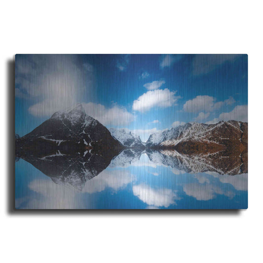 Luxe Metal Art 'Come Back Down' by Philippe Sainte-Laudy, Metal Wall Art