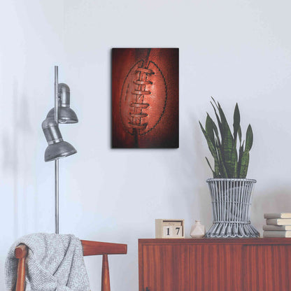 Luxe Metal Art 'Leather' by Philippe Sainte-Laudy, Metal Wall Art,16x24