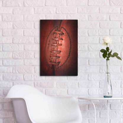 Luxe Metal Art 'Leather' by Philippe Sainte-Laudy, Metal Wall Art,16x24