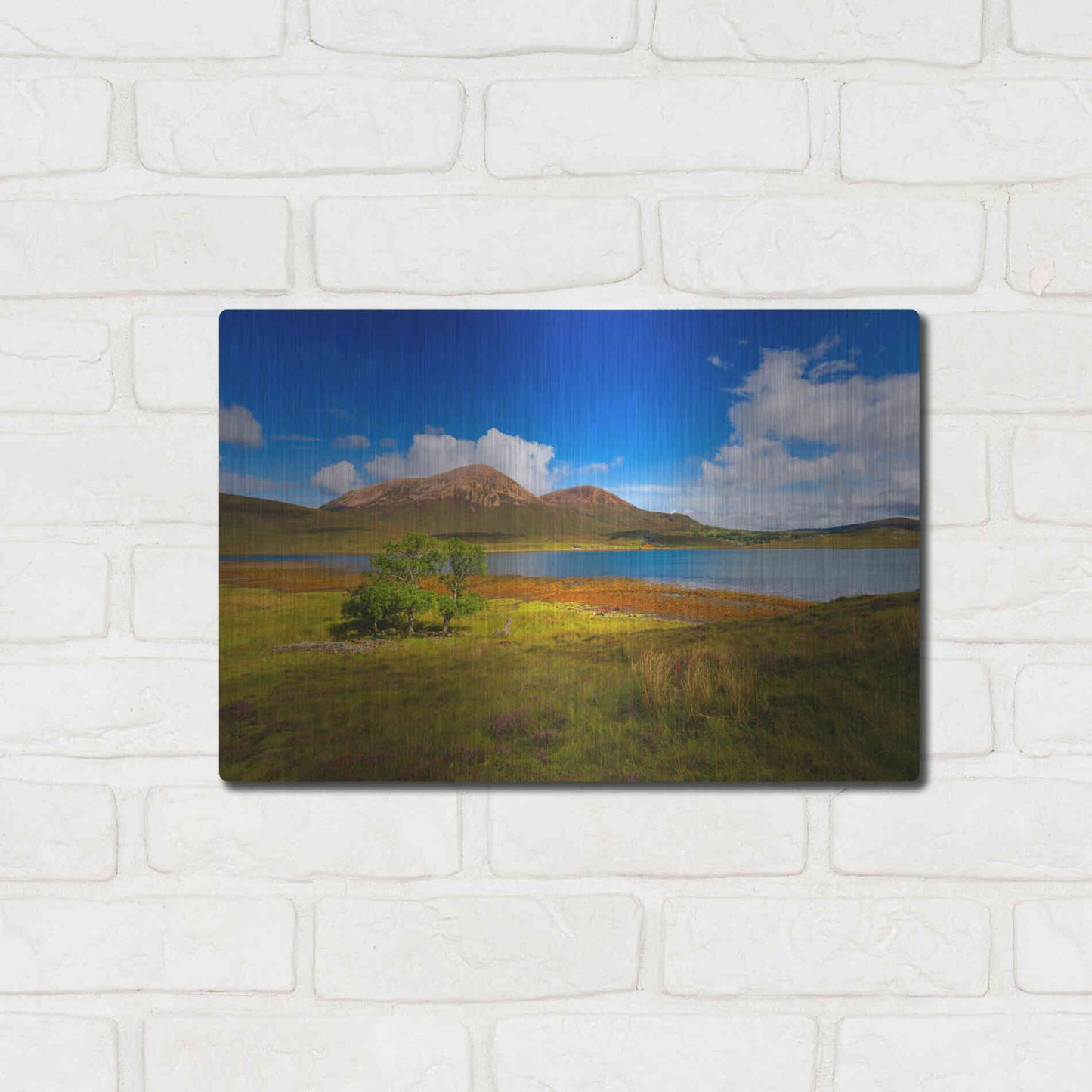 Luxe Metal Art 'Light Trees' by Philippe Sainte-Laudy, Metal Wall Art,16x12