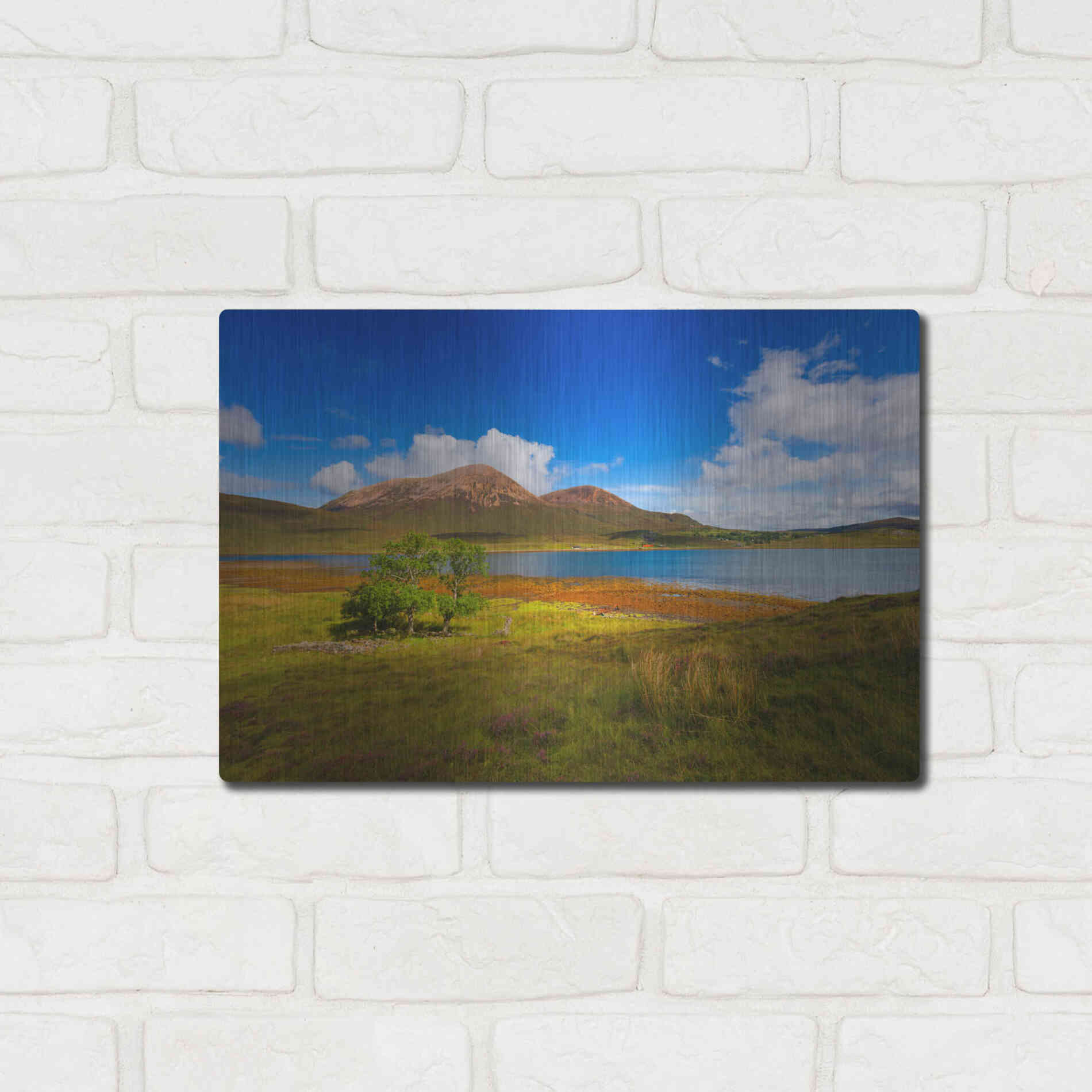 Luxe Metal Art 'Light Trees' by Philippe Sainte-Laudy, Metal Wall Art,16x12