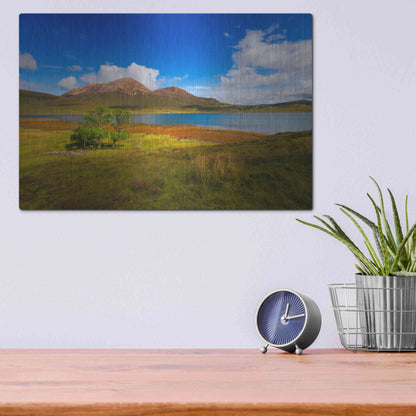 Luxe Metal Art 'Light Trees' by Philippe Sainte-Laudy, Metal Wall Art,16x12