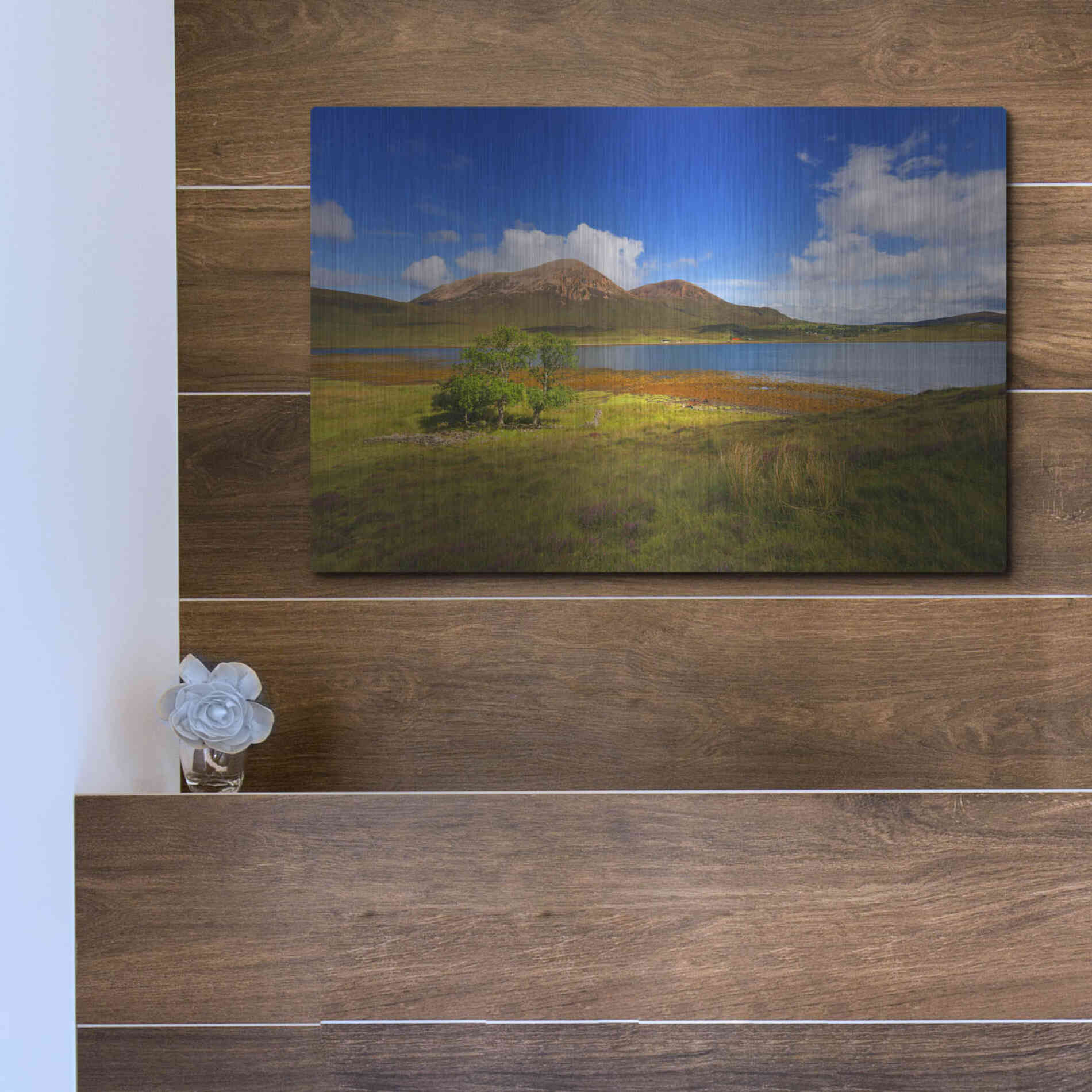 Luxe Metal Art 'Light Trees' by Philippe Sainte-Laudy, Metal Wall Art,16x12