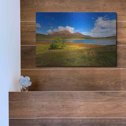 Luxe Metal Art 'Light Trees' by Philippe Sainte-Laudy, Metal Wall Art,16x12