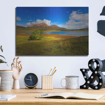 Luxe Metal Art 'Light Trees' by Philippe Sainte-Laudy, Metal Wall Art,16x12