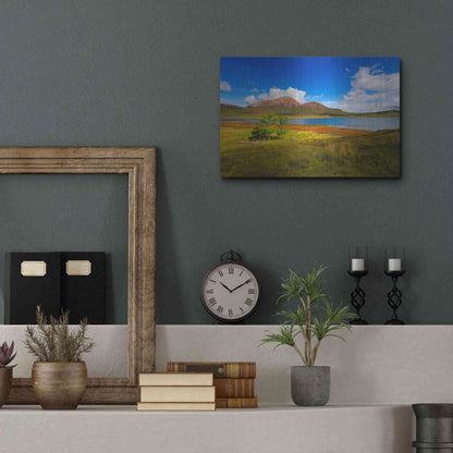 Luxe Metal Art 'Light Trees' by Philippe Sainte-Laudy, Metal Wall Art,16x12