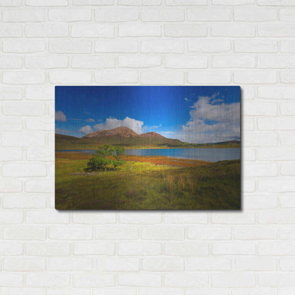 Luxe Metal Art 'Light Trees' by Philippe Sainte-Laudy, Metal Wall Art,36x24