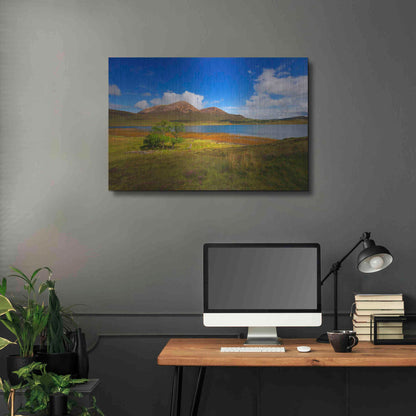 Luxe Metal Art 'Light Trees' by Philippe Sainte-Laudy, Metal Wall Art,36x24