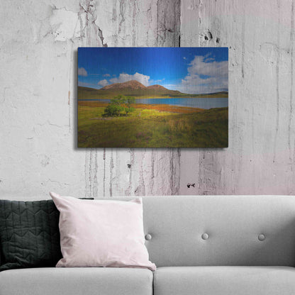 Luxe Metal Art 'Light Trees' by Philippe Sainte-Laudy, Metal Wall Art,36x24