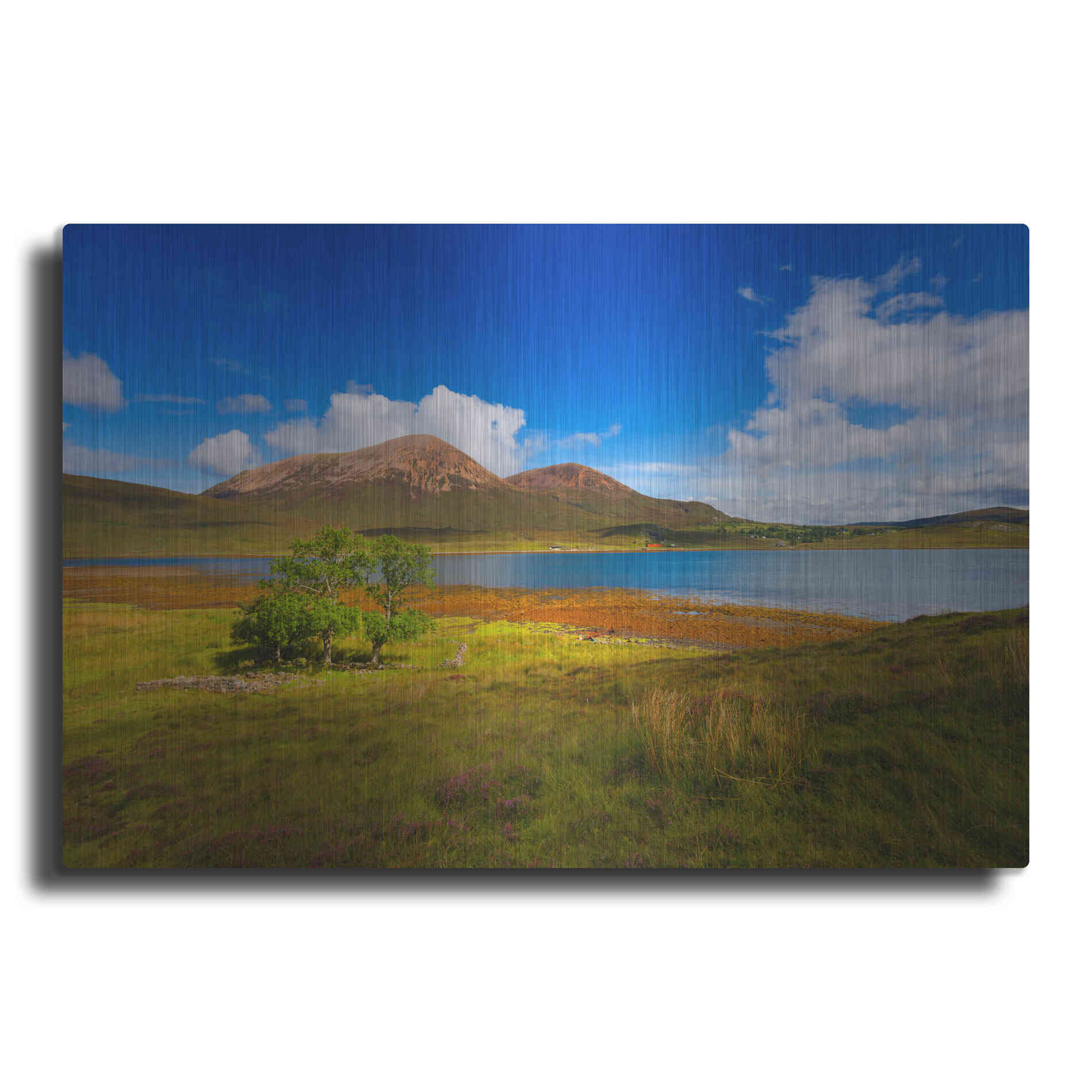 Luxe Metal Art 'Light Trees' by Philippe Sainte-Laudy, Metal Wall Art