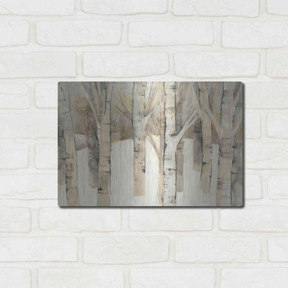 Luxe Metal Art 'First Snow' by Albena Hristova, Metal Wall Art,16x12