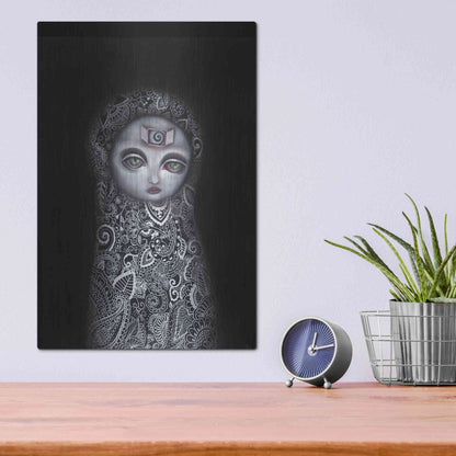 Luxe Metal Art 'Secretos' by Abril Andrade, Metal Wall Art,12x16