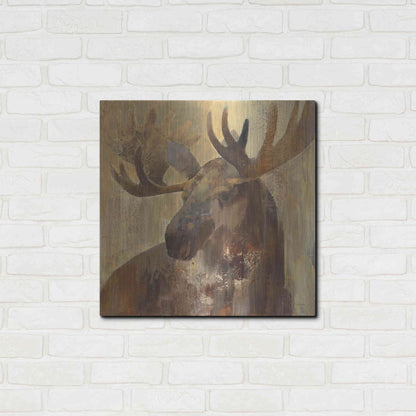 Luxe Metal Art 'Into the Wild II' by Albena Hristova, Metal Wall Art,24x24