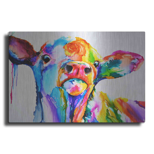 Luxe Metal Art 'Do These Colours Make My Calves Look Fat' by Leslie Franklin, Metal Wall Art