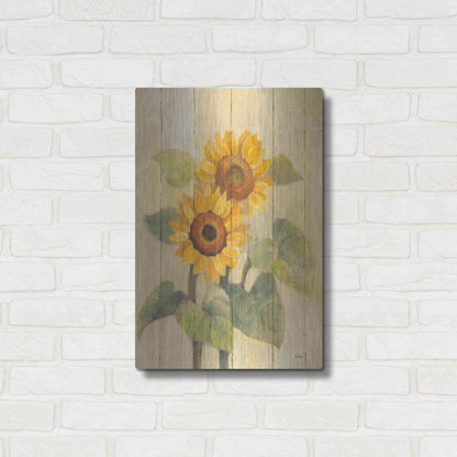 Luxe Metal Art 'Summer Sunflowers I on Barn Board' by Albena Hristova, Metal Wall Art,16x24