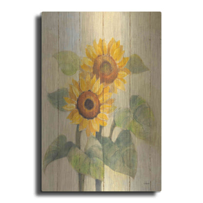 Luxe Metal Art 'Summer Sunflowers I on Barn Board' by Albena Hristova, Metal Wall Art