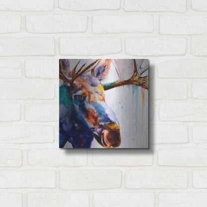 Luxe Metal Art 'Somewhat A Moosing' by Leslie Franklin, Metal Wall Art,12x12