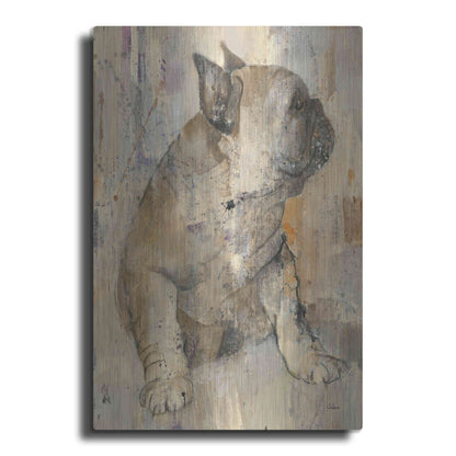 Luxe Metal Art 'Duke' by Albena Hristova, Metal Wall Art