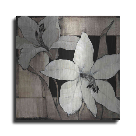 Luxe Metal Art 'Dramatic Lily Grid II' by Tim O'Toole, Metal Wall Art