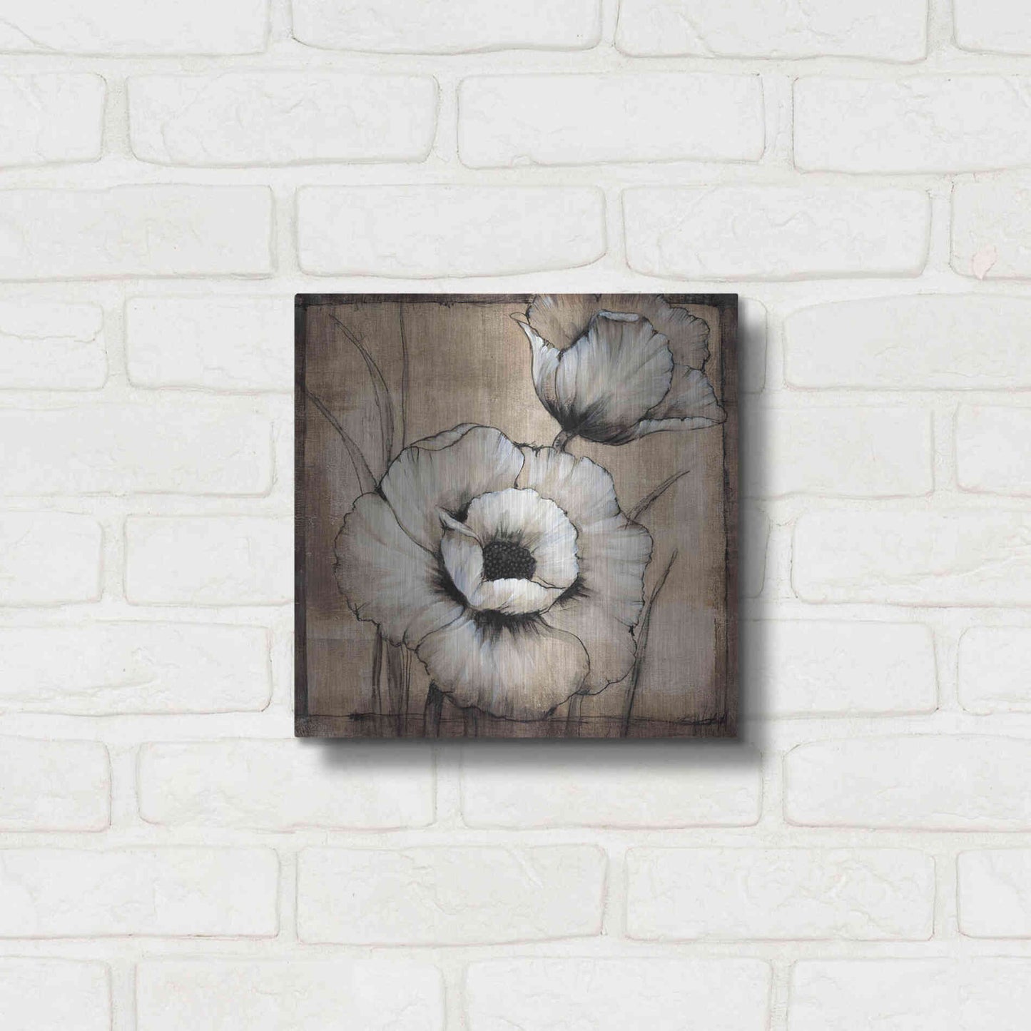 Luxe Metal Art 'Neutral Poppies I' by Tim O'Toole, Metal Wall Art,12x12
