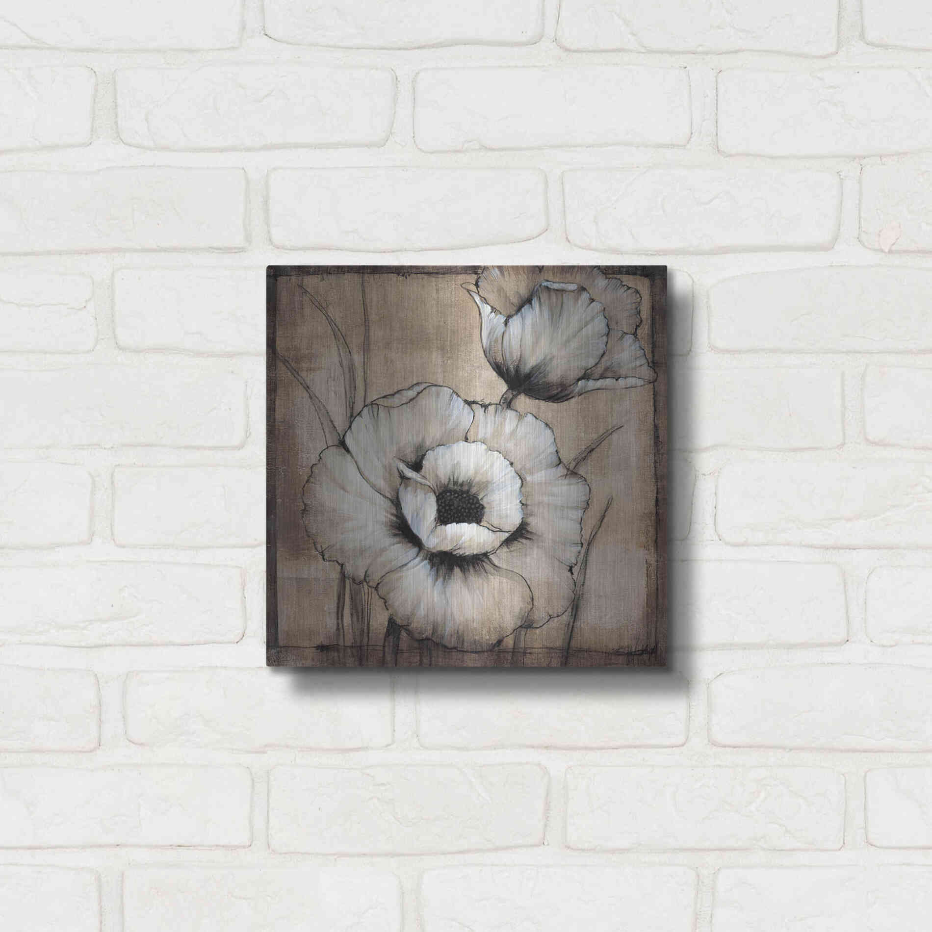 Luxe Metal Art 'Neutral Poppies I' by Tim O'Toole, Metal Wall Art,12x12