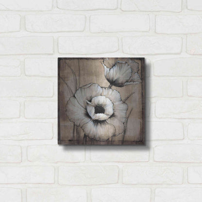 Luxe Metal Art 'Neutral Poppies I' by Tim O'Toole, Metal Wall Art,12x12