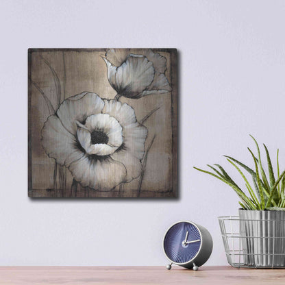 Luxe Metal Art 'Neutral Poppies I' by Tim O'Toole, Metal Wall Art,12x12