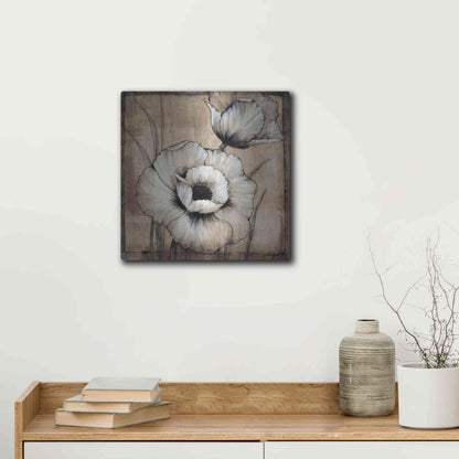 Luxe Metal Art 'Neutral Poppies I' by Tim O'Toole, Metal Wall Art,12x12