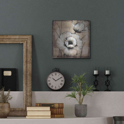Luxe Metal Art 'Neutral Poppies I' by Tim O'Toole, Metal Wall Art,12x12