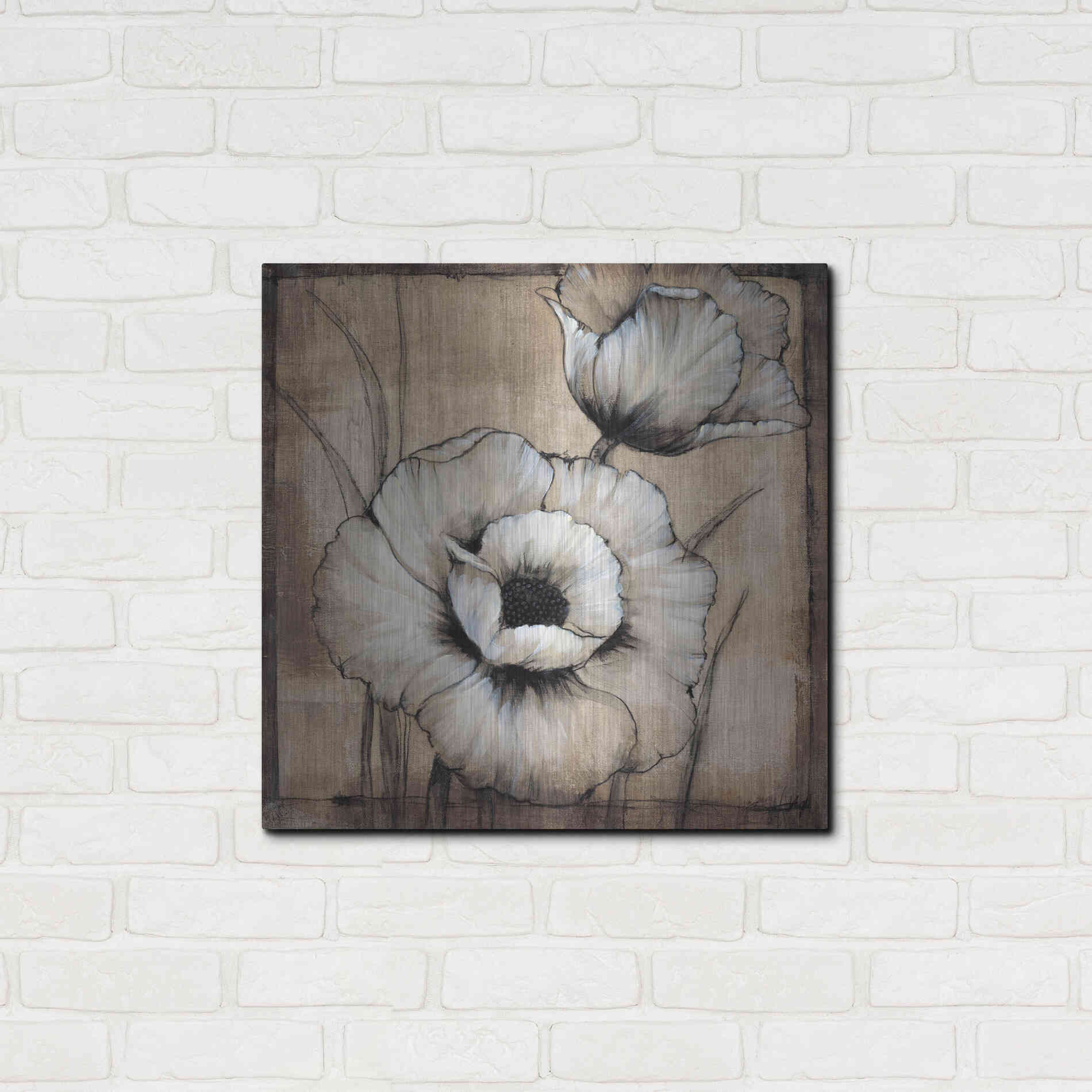 Luxe Metal Art 'Neutral Poppies I' by Tim O'Toole, Metal Wall Art,24x24